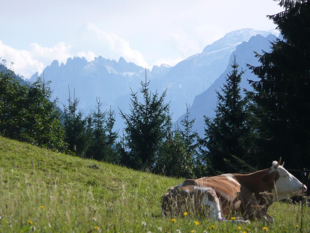 Ferienwohnung Bluntaumuehle Golling an der Salzach Pokoj fotografie