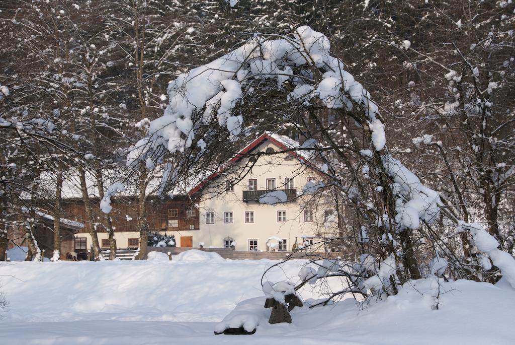 Ferienwohnung Bluntaumuehle Golling an der Salzach Pokoj fotografie